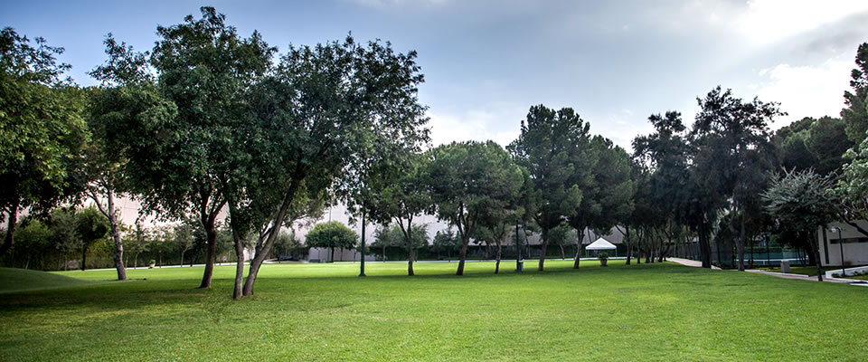 Jardines