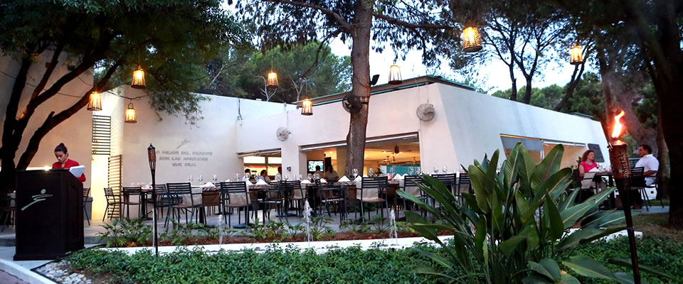 Terraza 19