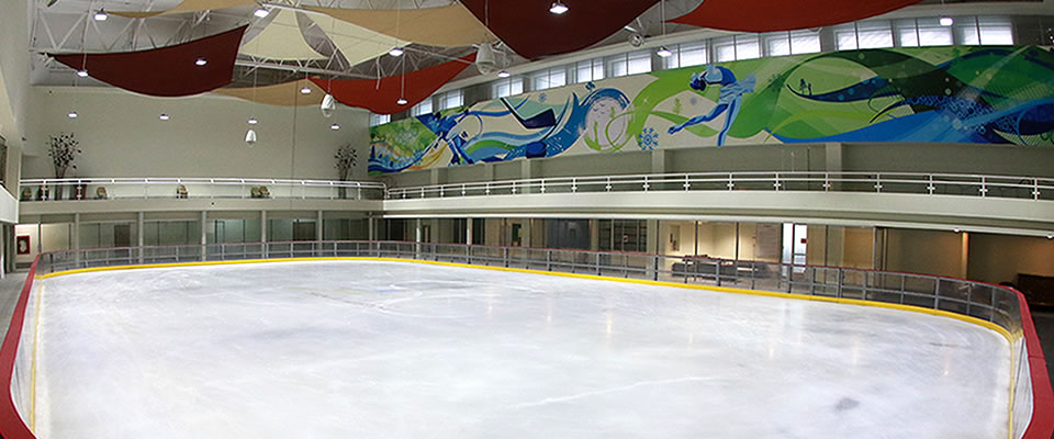 Patinaje