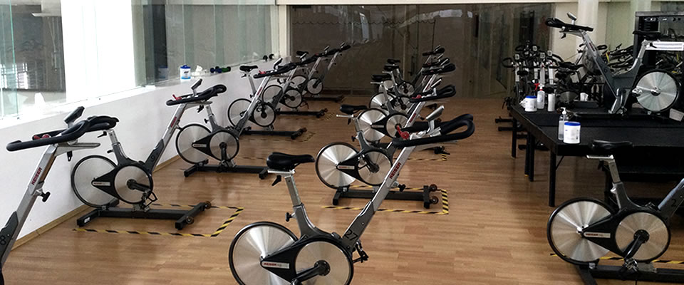 Gimnasio 1